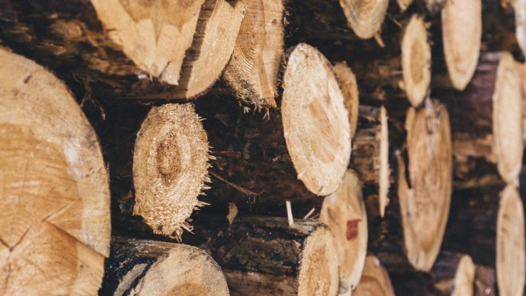 lenha-ou-pellets-saiba-mais-sobre-estes-combustiveis