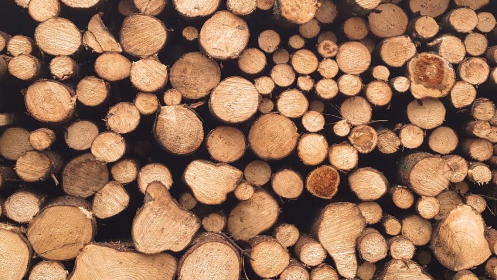 que-lenha-devo-usar-no-meu-recuperador