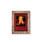 Recuperador a Lenha Ego - Salgueda 