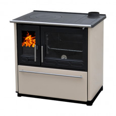 Fogão a lenha 850 Glas N - Plamen
